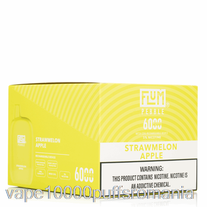 Vape Romania [10-pachet] Flum Pebble 6000 De Unica Folosinta